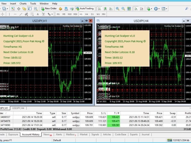Hunting Cat Scalper MT4 Unlimited + SetFiles - Image 13