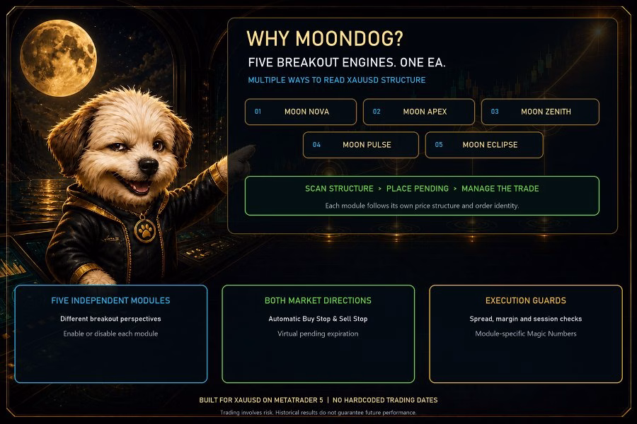 MoonDog EA MT5 Unlimited + SetFiles - Image 5