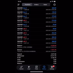 Alternative view of Gold Picker EA MQ5 Source Code Unlimited + SetFiles