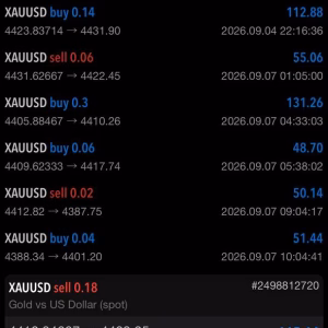 Osok Gold Killer EA MT5 Unlimited - Image 6