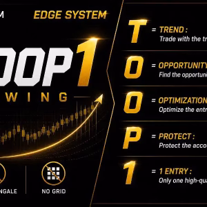 TOOP1 Swing MT5 Unlimited + SetFiles - Image 8